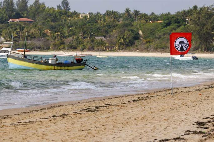 &quot;Pékin Express&quot; : 5ème étape au Mozembique samedi 15 février 2025 sur M6