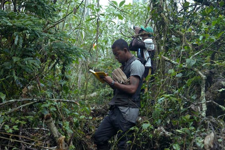 « Ivohiboro, la forêt oubliée » à découvrir sur France 5 lundi 7 octobre 2024
