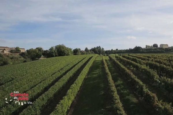 &quot;Les carnets de Julie&quot; en pays Bordelais et sur la route des vins lundi 15 septembre 2025 sur T18