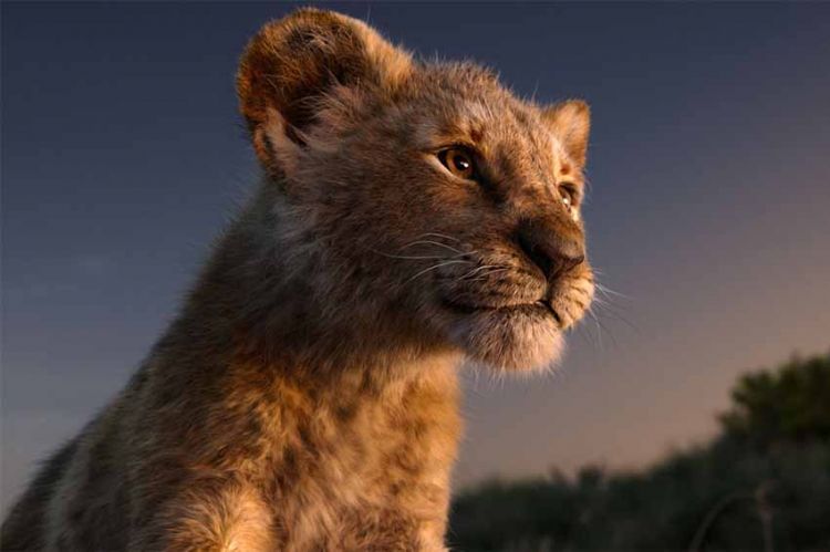 "Le Roi Lion" à revoir sur M6 vendredi 16 février 2024 à 21:10 - Vidéo