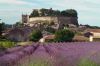 "Des racines &amp; des ailes" sur les chemins de la Drôme et du Vercors, mercredi 29 mars 2023 sur France 3