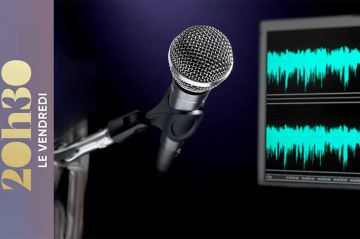 &quot;20h30 le vendredi&quot; : Autotune, le chant révolutionné, ce 29 novembre 2024 sur France 2