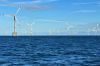 « Les éoliennes en mer, quelle cohabitation avec la nature ? » samedi 21 septembre 2024 sur ARTE