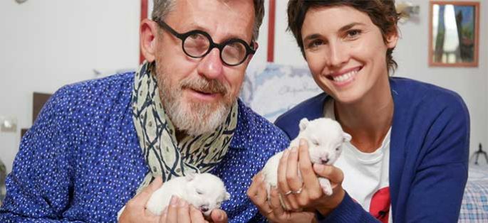 Chiots, chats : les premiers pas de nos animaux préférés lundi 12 février sur France 3