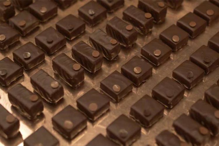 Reportages découverte - Passion chocolat, dimanche 14 avril 2024 sur TF1 - Vidéo