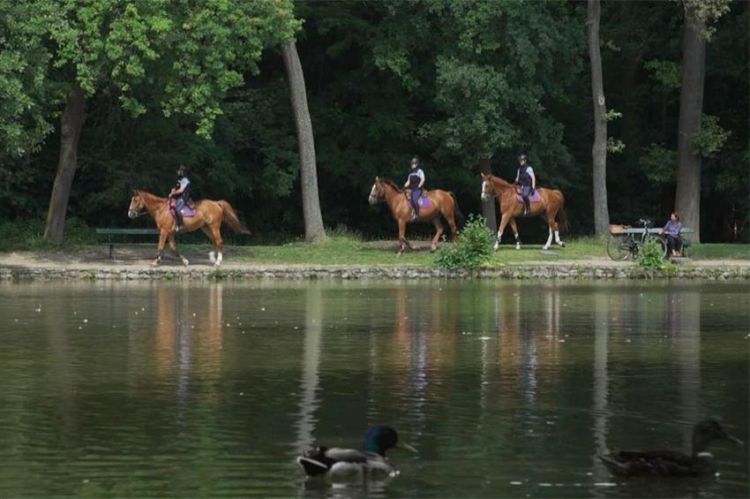 “Grands Reportages” dévoile les secrets du Bois de Boulogne, dimanche 15 mars sur TF1