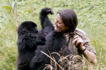 Dian Fossey, la femme-gorille&quot; sur Arte samedi 13 décembre 2025