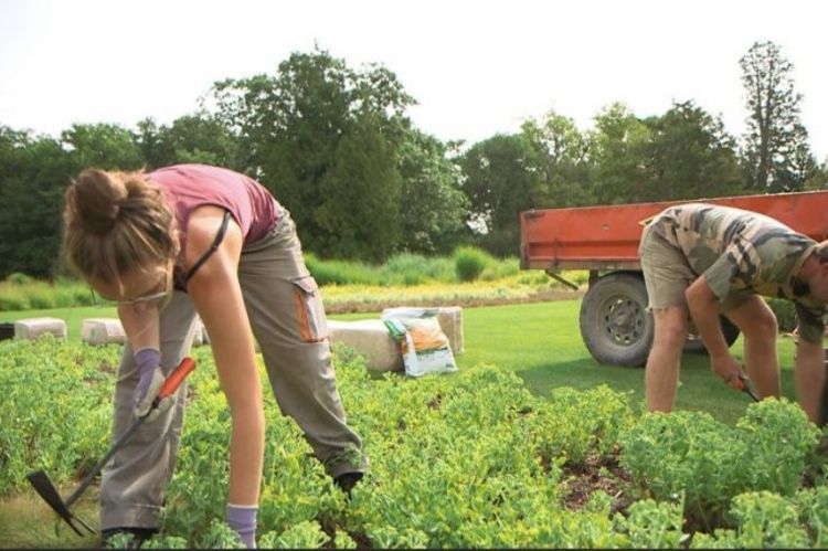 “Reportages découverte” samedi 15 octobre 2022 sur TF1 : « Leurs jardins secrets » (vidéo)