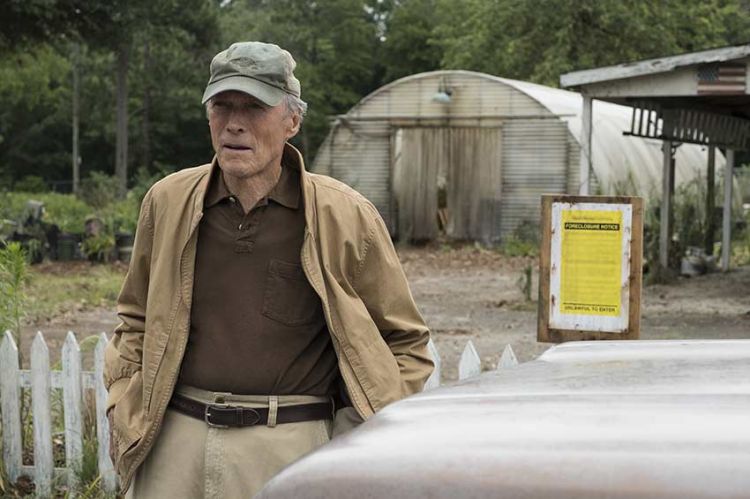 "La mule" avec Clint Eastwood et Bradley Cooper sur France 3 lundi 4 mars 2024 - Vidéo