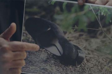 "Grands Reportages" : Les disparues de la gare de Perpignan, épisode 3 samedi 25 janvier 2025 sur TF1