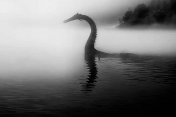 &quot;Le mystère du monstre du Loch Ness&quot; sur RMC Story lundi 31 mars 2025 (vidéo)