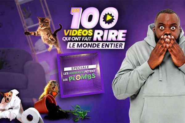 "Les 100 vidéos qui ont fait rire le monde entier" : spéciale animaux sur W9 mercredi 30 août 2023