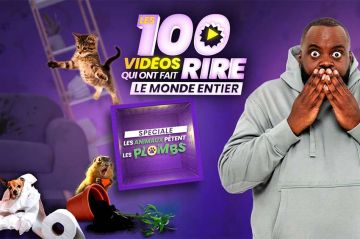&quot;Les 100 vidéos qui ont fait rire le monde entier&quot; : spéciale animaux sur W9 mercredi 30 août 2023