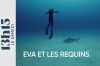 "13h15 le samedi" : Portrait d'Eva André, une figure montante de l'apnée française ce 30 août 2025 sur France 2