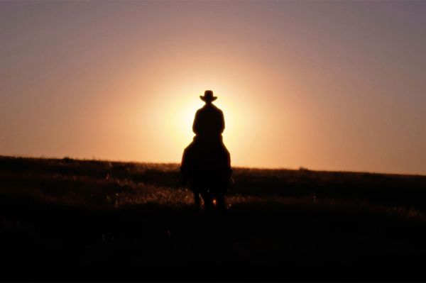 "Dans les bottes de Lucky Luke" avec le dessinateur Jul, samedi 2 novembre 2024 sur ARTE