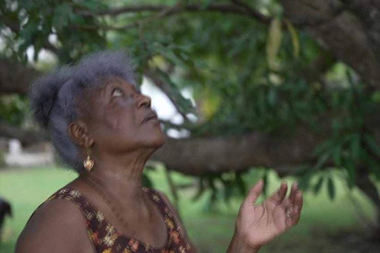 « Vieux créoles à Paris », documentaire commenté par Jocelyne Béroard, dimanche 30 janvier sur France 5