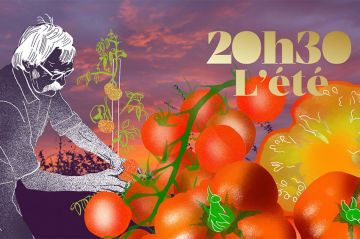 "20h30 le samedi" : Jacky Mercier, le roi de la tomate, ce 17 août 2024 sur France 2
