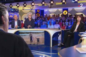 ONPC : vidéos des invités reçus le 26 octobre dans “On n&#039;est pas couché” par Laurent Ruquier