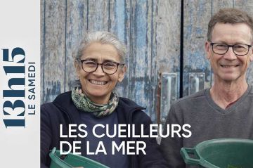&quot;13h15 le samedi&quot; : Les cueilleurs de la mer ce 7 juin 2025 sur France 2