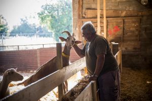 “L&#039;amour est dans le pré” : 4ème soirée lundi 5 octobre sur M6, voici tout ce qui va se passer... (vidéo)