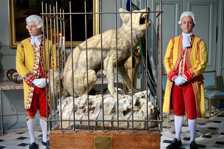 “Secrets d'histoire” : « Louis XV et la bête du Gévaudan », lundi 27 septembre sur France 3 avec Stéphane Bern (vidéo)