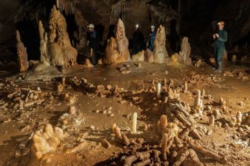 « Neandertal : Le mystère de la grotte de Bruniquel » samedi 3 décembre 2022 sur ARTE