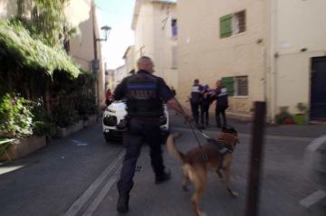 &quot;Enquête sous haute tension - 100 jours avec la police de Fréjus&quot; sur C8 dimanche 21 juillet 2024