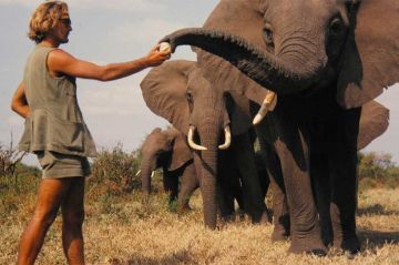 « Une vie parmi les éléphants » portrait de Iain Douglas-Hamilton sur ARTE samedi 14 septembre 2024