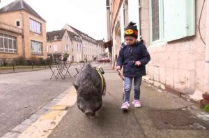 “Reportages découverte” : « Les mordus des nouveaux animaux de compagnie », samedi 14 novembre sur TF1