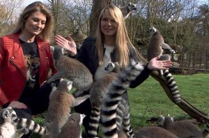“100 jours avec les animaux de Cerza, le plus grand Zoo de Normandie”, vendredi 27 mars sur C8