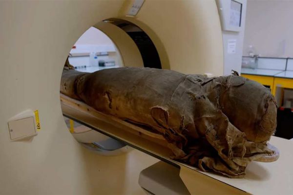 "Momies d'Égypte, en quête d'immortalité" sur France 5 jeudi 23 octobre 2025 (vidéo)