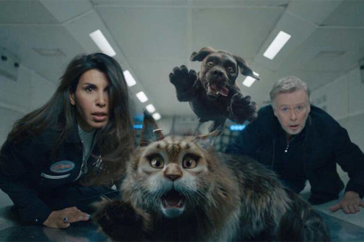 "Chien & Chat" avec Reem Kherici et Franck Dubosc sur TF1 dimanche 18 octobre 2026 (vidéo)