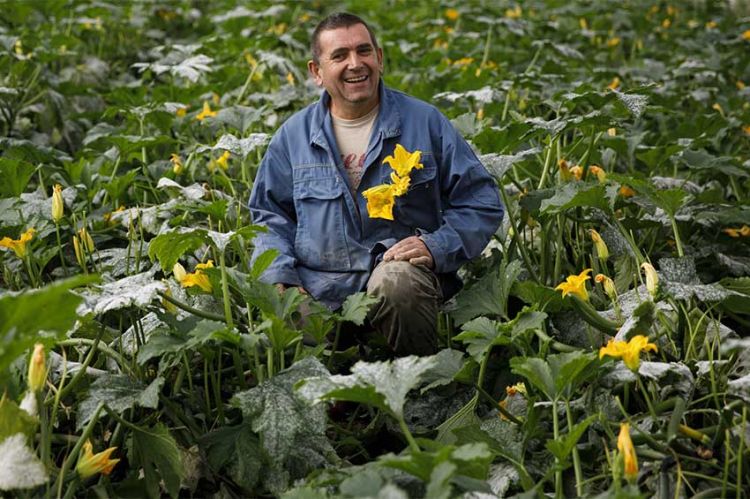 "L'amour est dans le pré" : découvrez Jean-Louis, agriculteur de la saison 21 sur M6