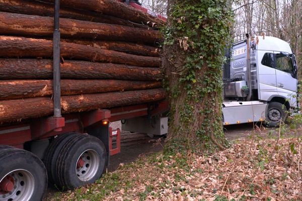 "Bûcheron : un métier à hauts risques" : 2 épisodes diffusés sur RMC Découverte jeudi 8 février 2024