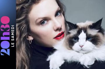 &quot;20h30 le samedi&quot; 26 octobre : La story Taylor Swift sur France 2