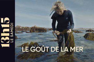 "13h15 le samedi" : Le goût de la mer avec Monique Poulet sur France 2 ce 23 mai 2026