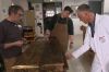 &quot;Reportages découverte&quot; : « Les artisans qui envoient du bois » dimanche 29 octobre 2023 sur TF1