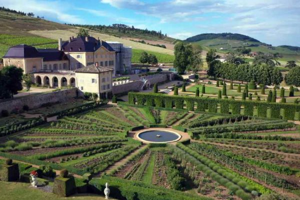 “Des racines et des ailes” : « Terroirs d’excellence entre Beaujolais et Lyonnais », mercredi 1er décembre sur France 3