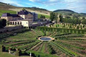 “Des racines et des ailes” : « Terroirs d’excellence entre Beaujolais et Lyonnais », mercredi 1er décembre sur France 3
