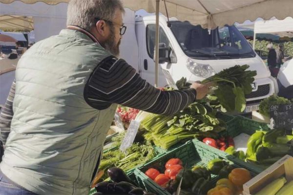 "Reportages découverte - Du faux dans nos assiettes" samedi 20 septembre 2025 sur TF1