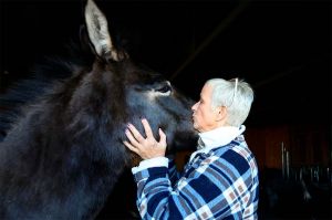 “L&#039;amour est dans le pré” lundi 27 septembre sur M6 : voici ce qui va se passer dans la 5ème soirée (vidéo)