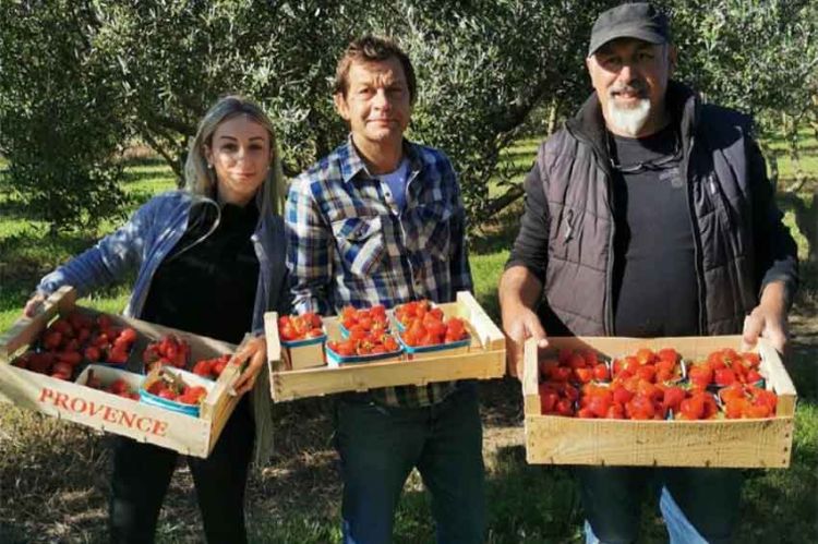 “Petits plats en équilibre” : Laurent Mariotte sur la route des vacances du Sud à partir du 21 juin sur TF1