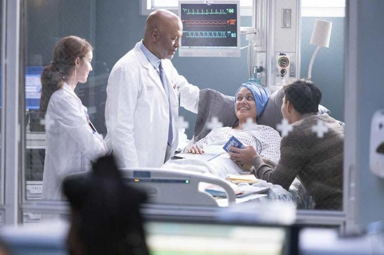 "Grey's Anatomy" saison 19 : les épisodes 9 & 10 sur TF1 mercredi 24 mai 2023