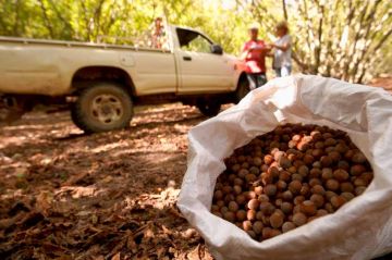 &quot;La noisette : le casse du siècle&quot; sur France 5 mardi 14 février 2023 (vidéo)