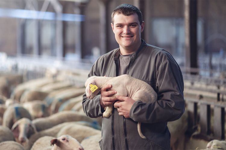 "L'amour est dans le pré" : découvrez Mathieu, éleveur de brebis, agriculteur de la saison 20 sur M6
