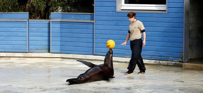 Le tournage de la 4ème saison de “Une saison au zoo” débutera le 22 juillet au Zoo de La Flèche pour France 4