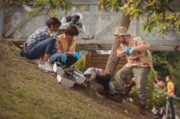 Deux épisodes de &quot;Tropiques criminels&quot; à à revoir sur France 2 vendredi 21 juin 2024