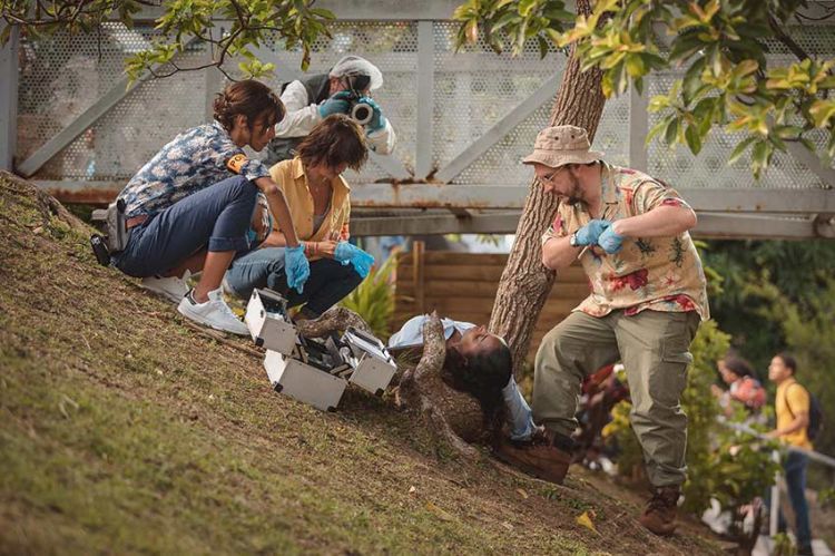 Deux épisodes de "Tropiques criminels" à à revoir sur France 2 vendredi 21 juin 2024