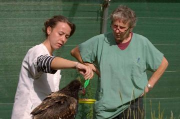 « Cévennes, l&#039;hôpital de la vie sauvage » de Marie-Pierre Puech, ce 3 octobre sur France 3