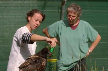 « Cévennes, l&#039;hôpital de la vie sauvage » de Marie-Pierre Puech, ce 3 octobre sur France 3